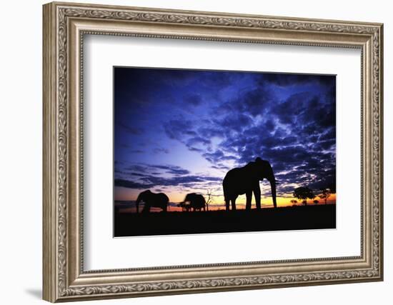 Elephant Silhouettes-Paul Souders-Framed Photographic Print