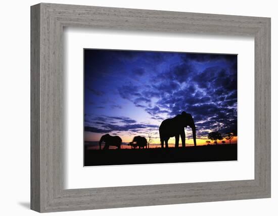 Elephant Silhouettes-Paul Souders-Framed Photographic Print