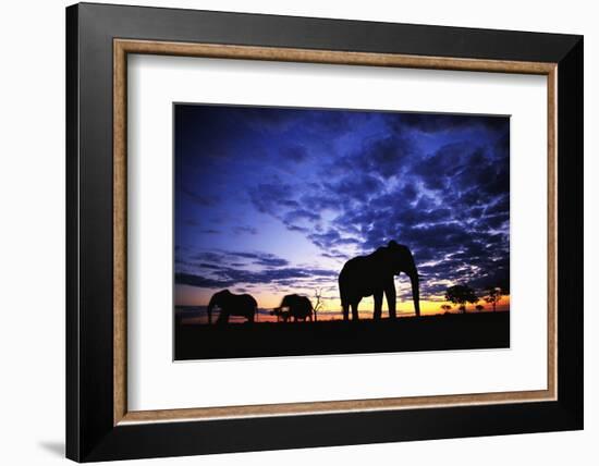 Elephant Silhouettes-Paul Souders-Framed Photographic Print