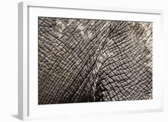 Elephant Skin, Makgadikgadi Pans National Park, Botswana-Paul Souders-Framed Photographic Print