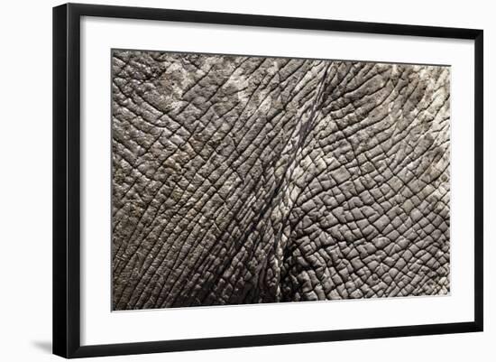 Elephant Skin, Makgadikgadi Pans National Park, Botswana-Paul Souders-Framed Photographic Print