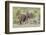 Elephant Taking a Dust Bath, Spraying Dust on its Head with its Trunk-James Heupel-Framed Photographic Print