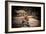 Elephant Terrace I-Erin Berzel-Framed Photographic Print