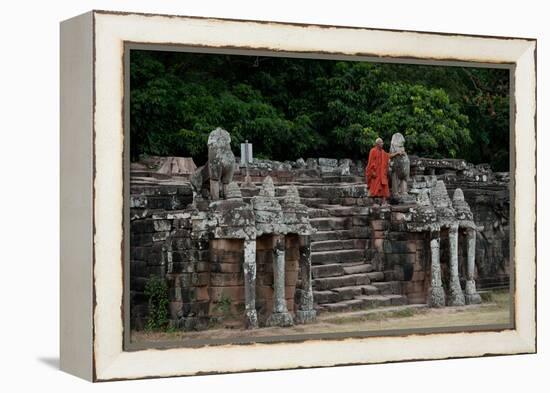 Elephant Terrace II-Erin Berzel-Framed Premier Image Canvas