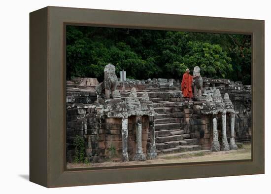 Elephant Terrace II-Erin Berzel-Framed Premier Image Canvas