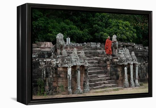 Elephant Terrace II-Erin Berzel-Framed Premier Image Canvas