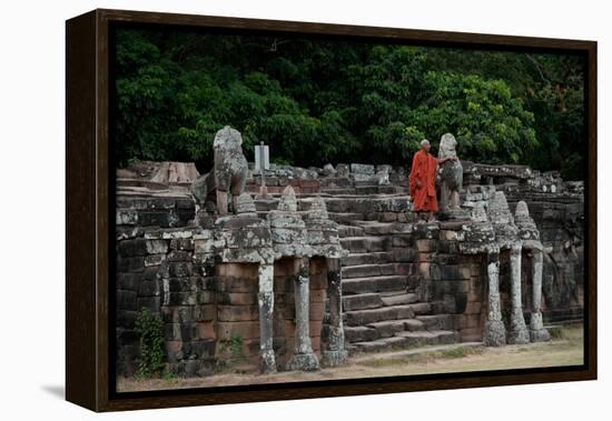 Elephant Terrace II-Erin Berzel-Framed Premier Image Canvas