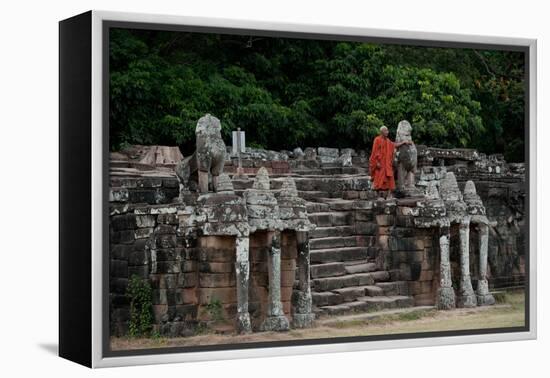 Elephant Terrace II-Erin Berzel-Framed Premier Image Canvas