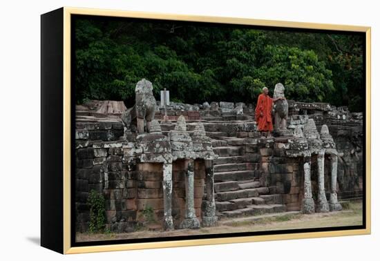 Elephant Terrace II-Erin Berzel-Framed Premier Image Canvas