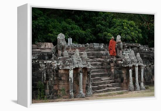 Elephant Terrace II-Erin Berzel-Framed Premier Image Canvas