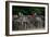 Elephant Terrace II-Erin Berzel-Framed Photographic Print