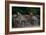 Elephant Terrace II-Erin Berzel-Framed Photographic Print