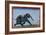 Elephant & Trainer, C1750-null-Framed Giclee Print