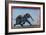 Elephant & Trainer, C1750-null-Framed Giclee Print
