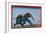 Elephant & Trainer, C1750-null-Framed Giclee Print