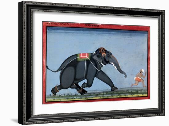 Elephant & Trainer, C1750-null-Framed Giclee Print