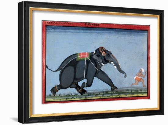 Elephant & Trainer, C1750-null-Framed Giclee Print