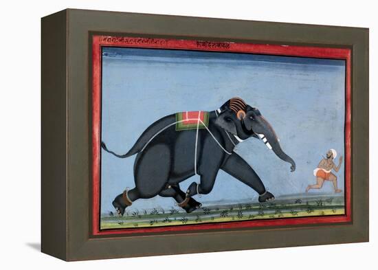 Elephant & Trainer, C1750-null-Framed Premier Image Canvas
