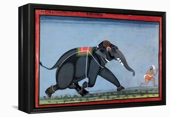 Elephant & Trainer, C1750-null-Framed Premier Image Canvas