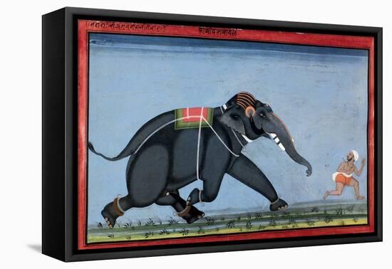 Elephant & Trainer, C1750-null-Framed Premier Image Canvas