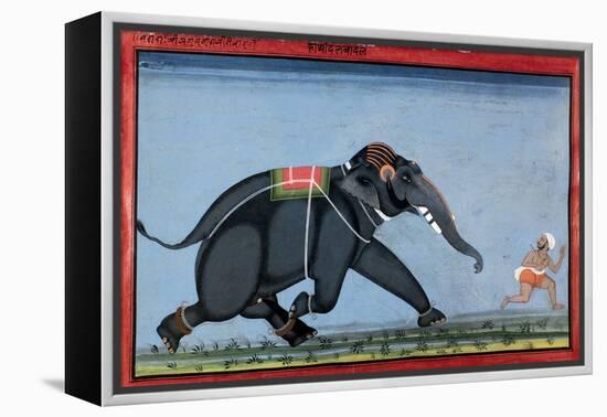 Elephant & Trainer, C1750-null-Framed Premier Image Canvas