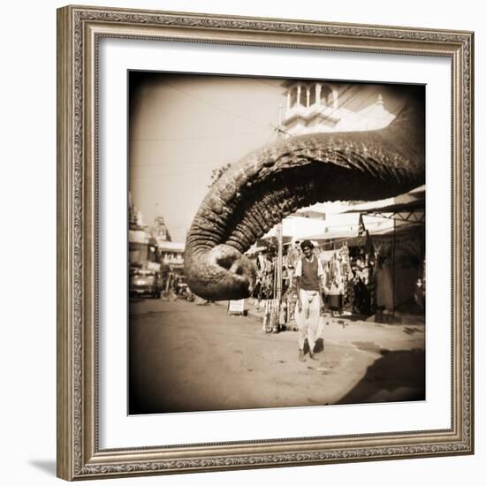 Elephant Trunk at Indian Bazaar-Theo Westenberger-Framed Photographic Print