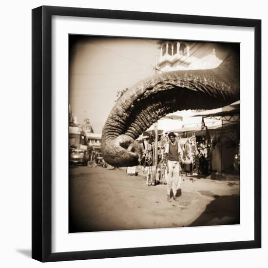 Elephant Trunk at Indian Bazaar-Theo Westenberger-Framed Photographic Print