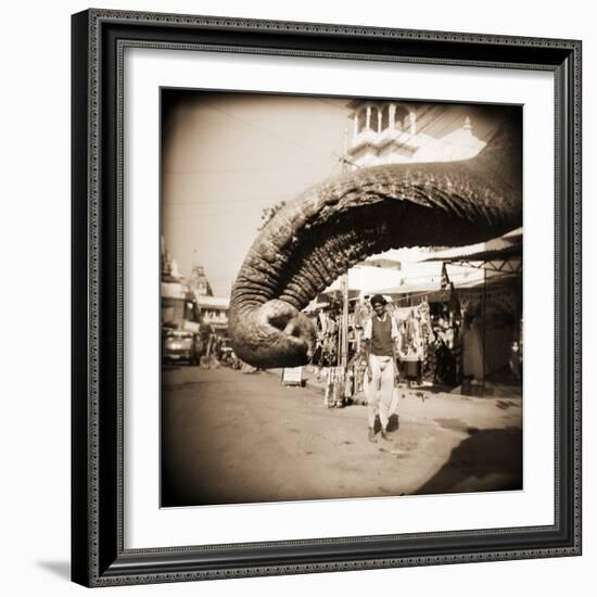 Elephant Trunk at Indian Bazaar-Theo Westenberger-Framed Photographic Print