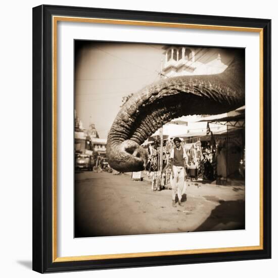 Elephant Trunk at Indian Bazaar-Theo Westenberger-Framed Photographic Print