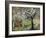 Elephant under a Tree-Blenda Tyvoll-Framed Giclee Print