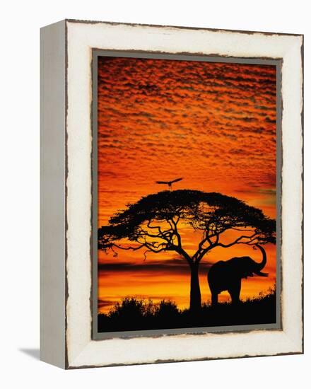 Elephant Under Broad Tree-Jim Zuckerman-Framed Premier Image Canvas