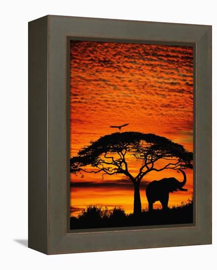 Elephant Under Broad Tree-Jim Zuckerman-Framed Premier Image Canvas