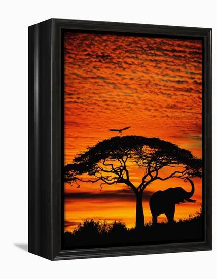 Elephant Under Broad Tree-Jim Zuckerman-Framed Premier Image Canvas