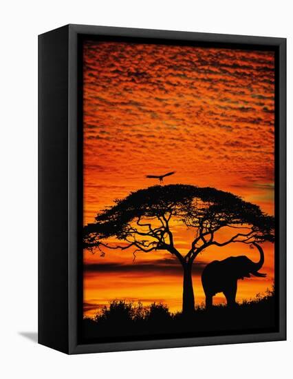 Elephant Under Broad Tree-Jim Zuckerman-Framed Premier Image Canvas