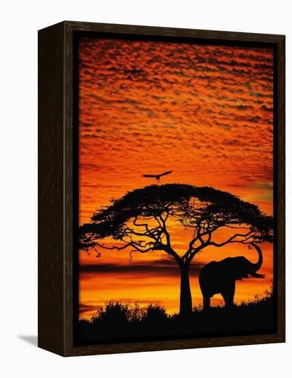 Elephant Under Broad Tree-Jim Zuckerman-Framed Premier Image Canvas