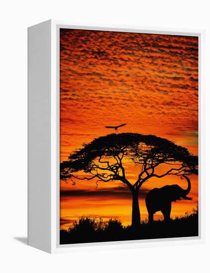 Elephant Under Broad Tree-Jim Zuckerman-Framed Premier Image Canvas