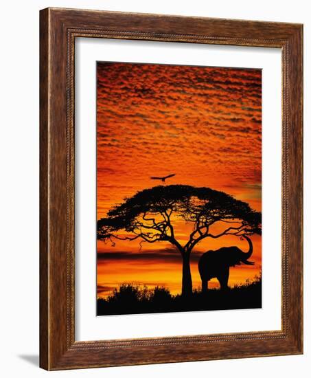 Elephant Under Broad Tree-Jim Zuckerman-Framed Photographic Print