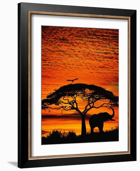 Elephant Under Broad Tree-Jim Zuckerman-Framed Photographic Print