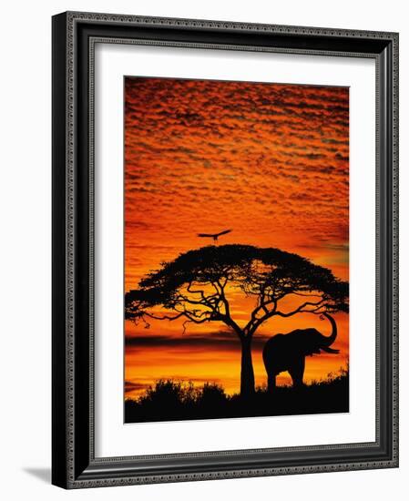 Elephant Under Broad Tree-Jim Zuckerman-Framed Photographic Print