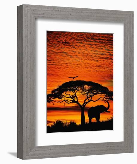 Elephant Under Broad Tree-Jim Zuckerman-Framed Photographic Print