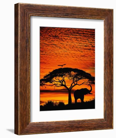 Elephant Under Broad Tree-Jim Zuckerman-Framed Photographic Print