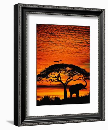 Elephant Under Broad Tree-Jim Zuckerman-Framed Photographic Print