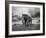 Elephant Walking on the Grass-abracadabra99-Framed Photographic Print