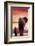 Elephant Walking with Calf-null-Framed Premium Giclee Print