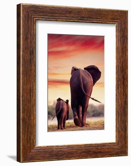 Elephant Walking with Calf-null-Framed Art Print