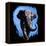 Elephant Walking-null-Framed Stretched Canvas