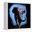 Elephant Walking-null-Framed Stretched Canvas