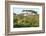 Elephant Walks Through Jungle Landscape, Ngorongoro, Tanzania-James Heupel-Framed Photographic Print