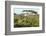 Elephant Walks Through Jungle Landscape, Ngorongoro, Tanzania-James Heupel-Framed Photographic Print