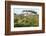 Elephant Walks Through Jungle Landscape, Ngorongoro, Tanzania-James Heupel-Framed Photographic Print